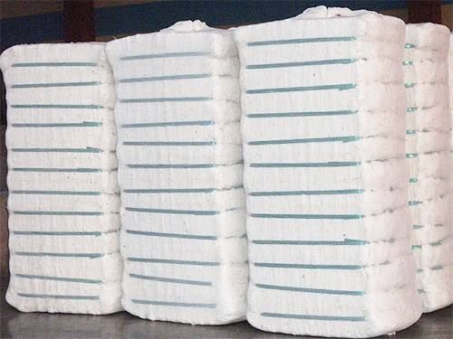 FP Bales
